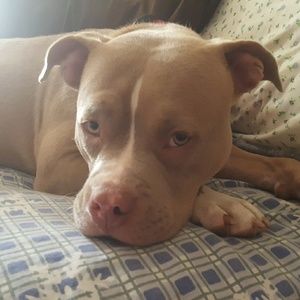 Meet your Posher, Trina